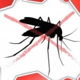 Таиланд предупредил об опасности малярии