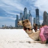 Объединенные Арабские Эмираты отменили удорожание виз