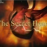 The Secret Heart. Pumped - Секреты нашего сердца - Неутомимый насос