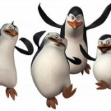 Пингвины пытались сбежать из зоопарка в Дании