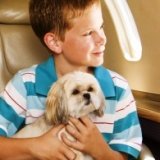 Авиабилет для собаки может обойтись дороже, чем для хозяина