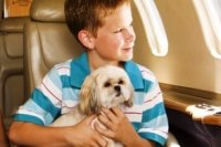 0eb9a3e41 200x133 Карта сайта