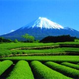 Вулкан Фудзияма будет включен в фонд всемирного наследия