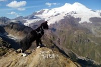 163609062 200x133 Карта сайта