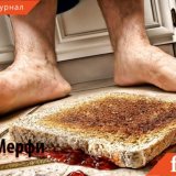 Интересные факты о законе Мерфи