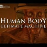 Discovery. Наше тело - уникальная машина (Human Body - Ultimate Machine) 4 серии