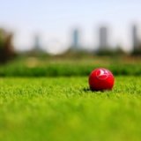 В подмосковном «Пестово» состоится турнир по гольфу