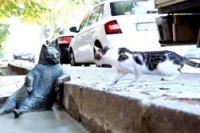 20fffc971 200x133 Карта сайта