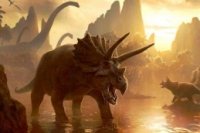 356f8d490 200x133 Карта сайта