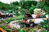 3b02c10b5 200x133 Карта сайта