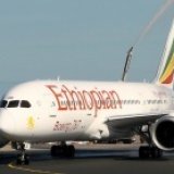 Безбилетник прилетел в Стокгольм в багажном отделении