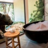 Отель с дикими животными открылся в Австралии
