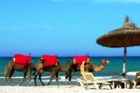 46210661c 200x133 Карта сайта