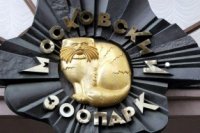 46d7f767a 200x133 Карта сайта