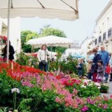 Начало лета в Италии встретят праздником цветов