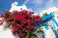 53e5b2bfa 200x133 Карта сайта