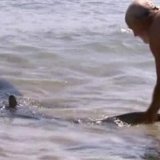 Турист из Уэльса руками оттащил акулу от берега на пляже в Австралии