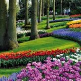 Парк цветов Кекенхоф ждет посетителей