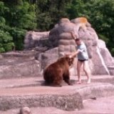Мужчина напал на медведя в зоопарке Варшавы