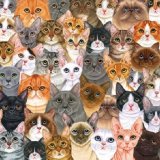 Кошкин дом. 1100 кошек и одна женщина.