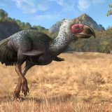 Титанис — вымершая хищная птица, которая питалась бизонами