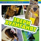 ВВС. Звери хулиганят (Animals Behaving Badly)