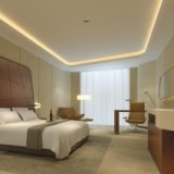 Гостиничная сеть Steigenberger откроет три новых отеля в Китае