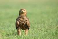 6e3cf22d2 200x133 Карта сайта