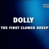 Долли-первая клонированная овца (Dolly the First Clone Sheep)