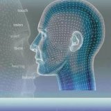 BBC. Чувства человека (Human Senses) 3 Серии