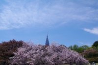 7ec0a50a4 200x133 Карта сайта