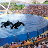 Крупнейший зоопарк Испании празднует свой юбилей