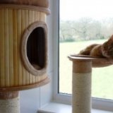 В Англии открыли отель для кошек класса люкс