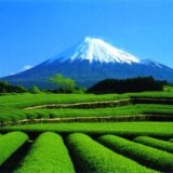 Япония ждет туристов на осенние мероприятия