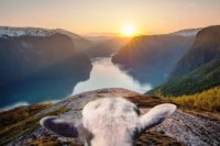 87f223715 200x133 Карта сайта