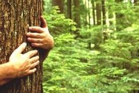 8969de2ad 200x133 Карта сайта