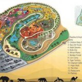 Сафари-парк откроется в Дубае