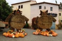 933842e42 200x133 Карта сайта