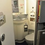 По нужде: самолет экстренно сел в Москве из-за переполненных туалетов