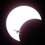 Рейс с видом на солнечное затмение вылетит из Мурманска