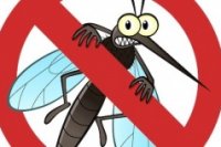 a6e929f78 200x133 Карта сайта