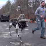 Четвероногий робот-собака покорил интернет