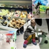 Музей истории мороженого открылся в Кирове