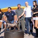 Памятник прожорливой кошке открыли во Владивостоке
