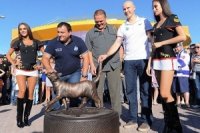 c088483ab 200x133 Карта сайта