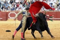 c3e57b068 200x133 Карта сайта