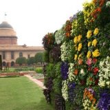 Могольские сады в Нью-Дели открылись для посещения туристами