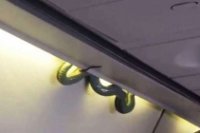 c9b913cee 200x133 Карта сайта