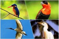 ceaf2ff1a 200x133 Карта сайта