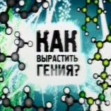 Как вырастить гения